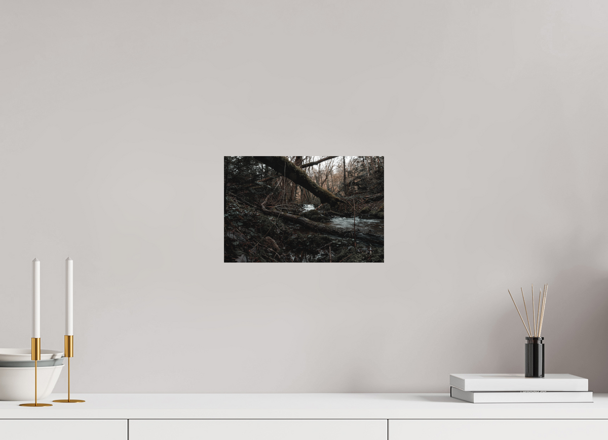 30 x 20 cm, Poster Fuji Crystal DP II mat Le tronc couché
