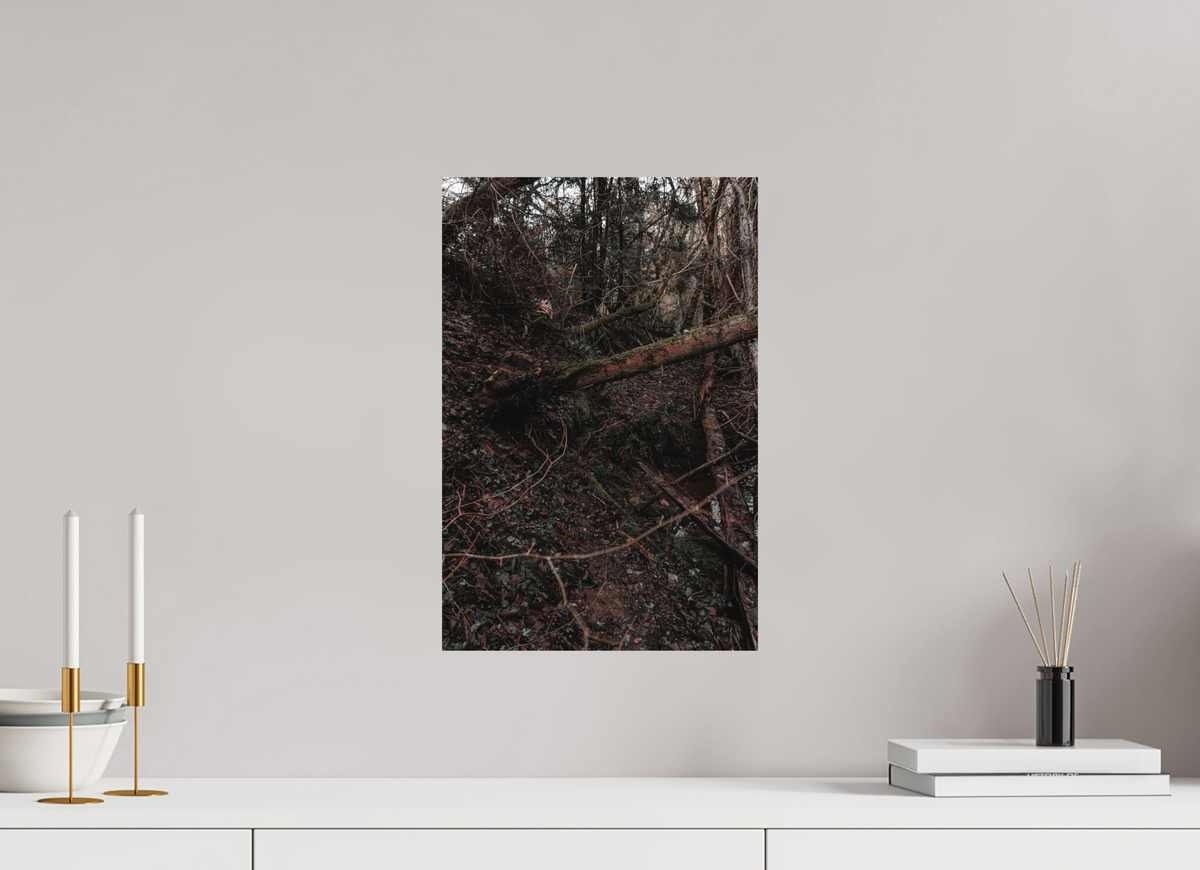 30 x 45 cm, Poster Fuji Crystal DP II mat Le bois tombé