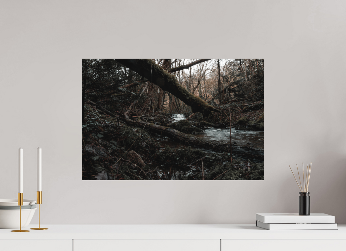 60 x 40 cm, Poster Fuji Crystal DP II mat Le tronc couché