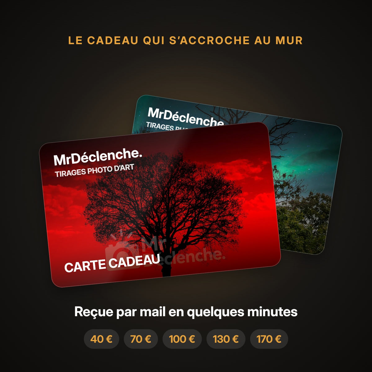 Carte cadeau MrDéclenche. reçue par mail, de 40 € à 170 €