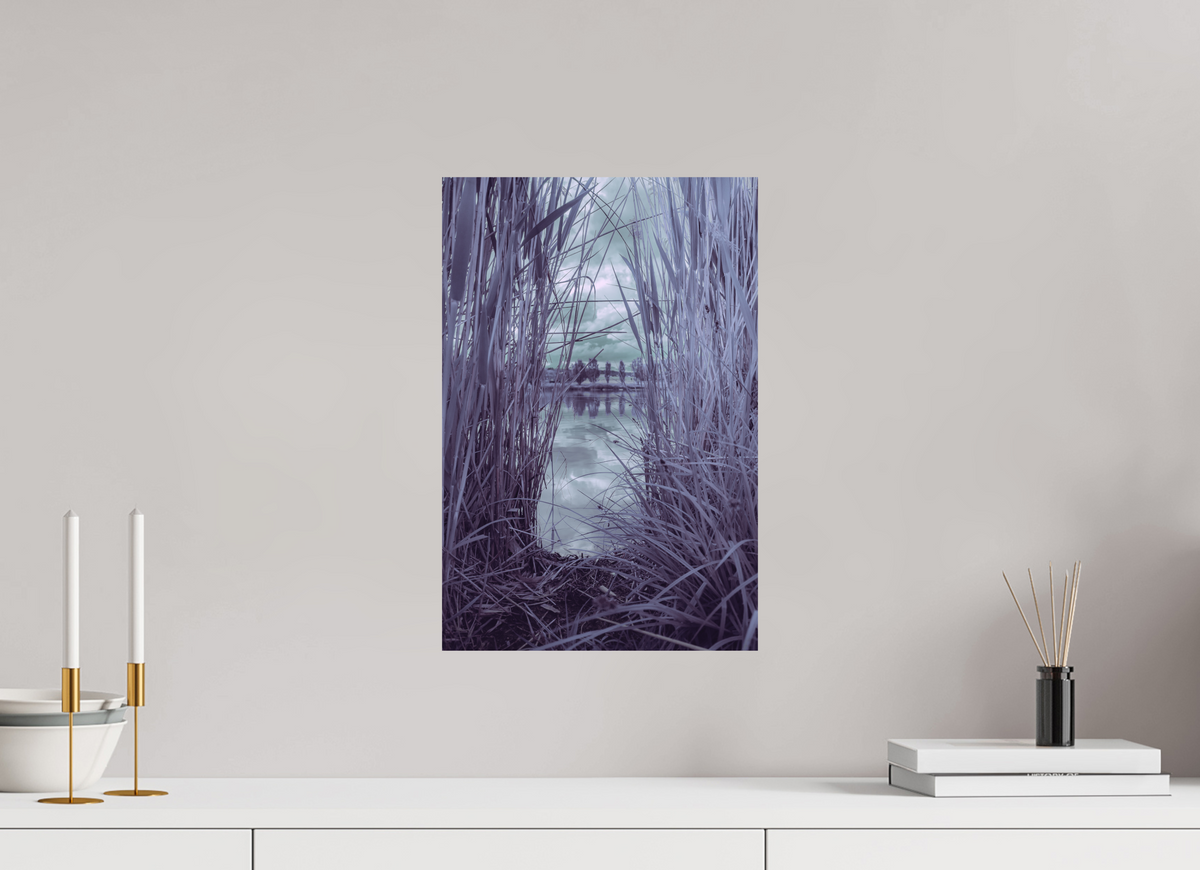 30 x 45 cm, Poster Fuji Crystal DP II mat Les roseaux violets