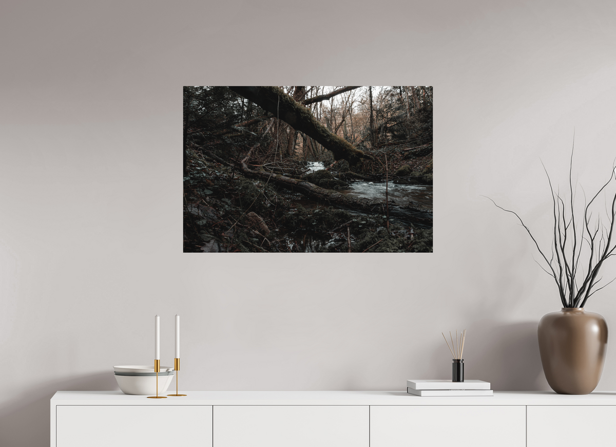 90 x 60 cm, Poster Fuji Crystal DP II mat Le tronc couché