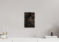 20 x 30 cm, Poster Fuji Crystal Pearl metallise La fougère et l'eau rousse
