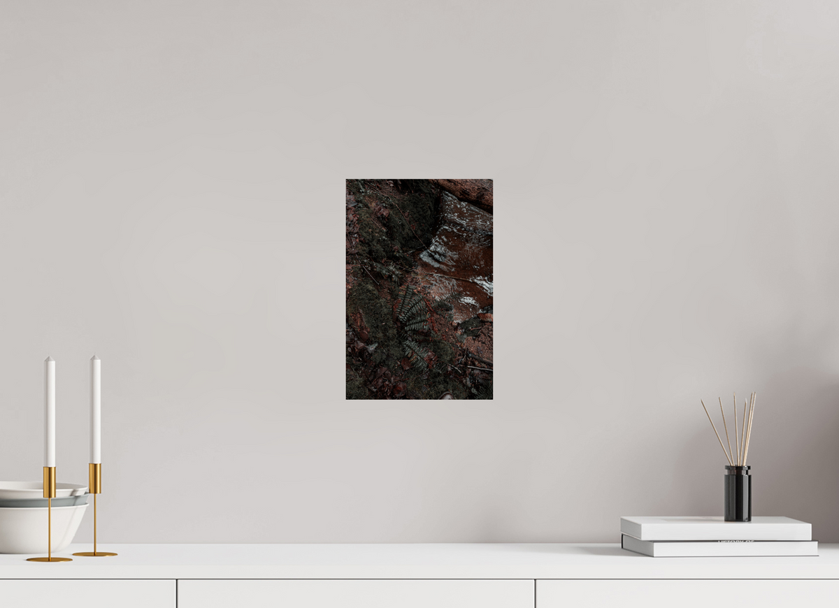 20 x 30 cm, Poster Fuji Crystal Pearl metallise La fougère et l'eau rousse