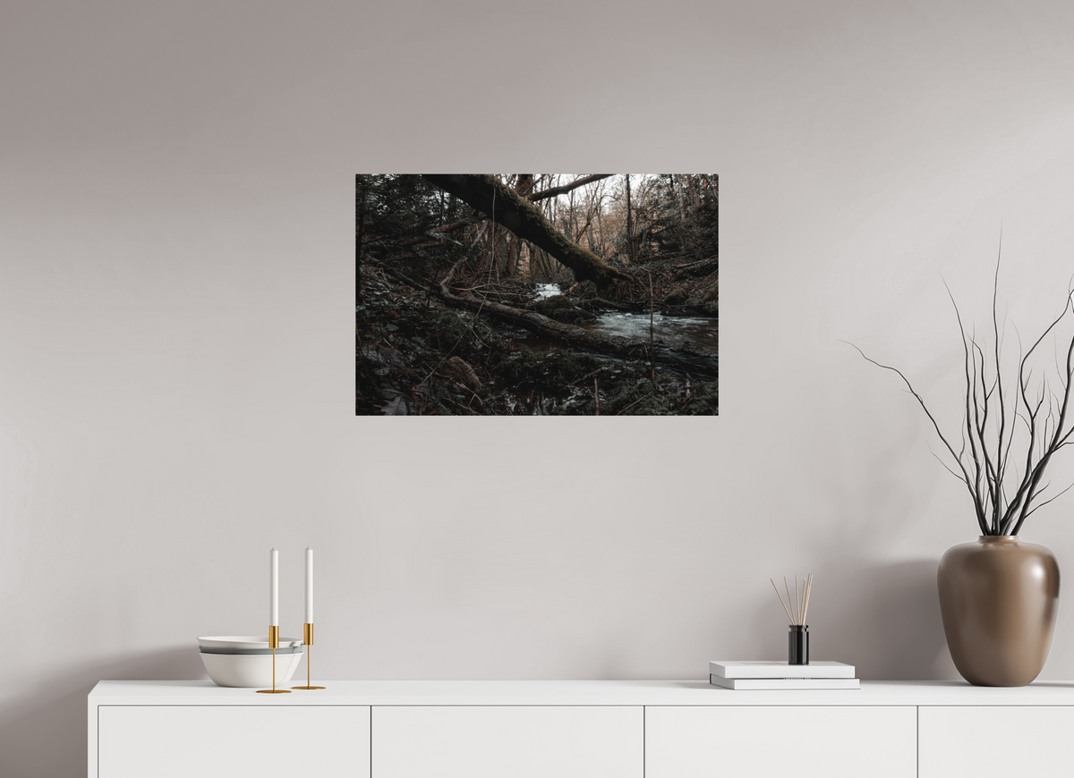 75 x 50 cm, Poster Fuji Crystal DP II mat Le tronc couché
