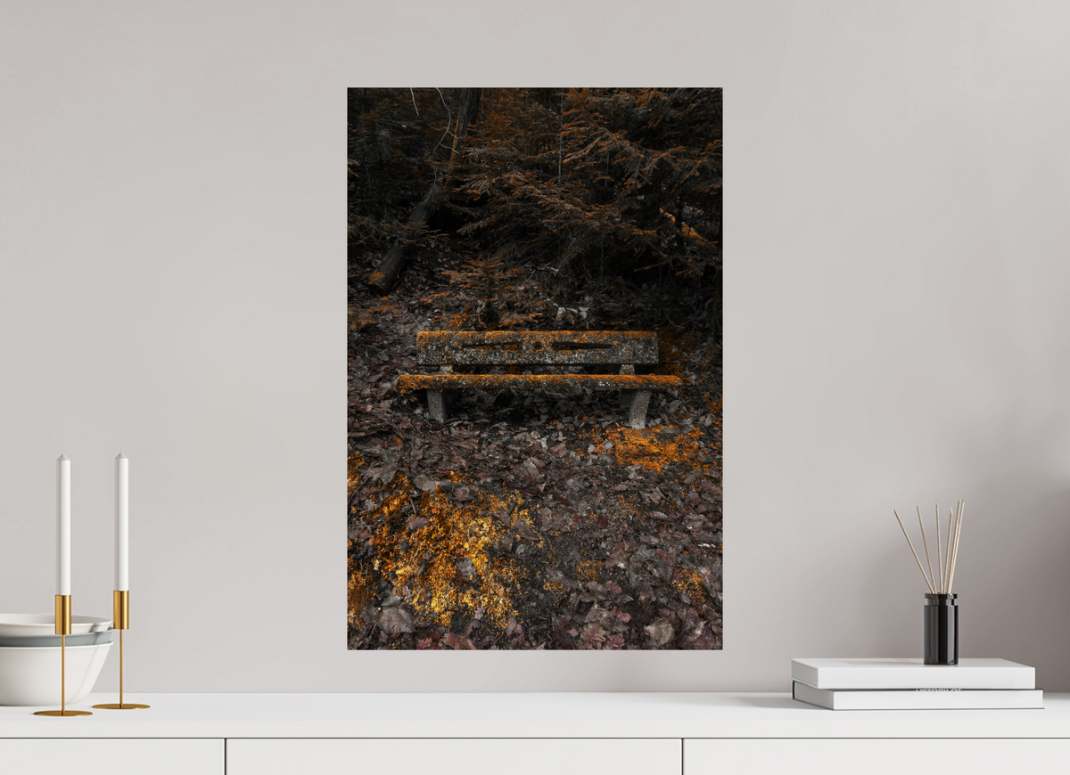 40 x 60 cm, Poster Fuji Crystal Pearl metallise Le banc moussu