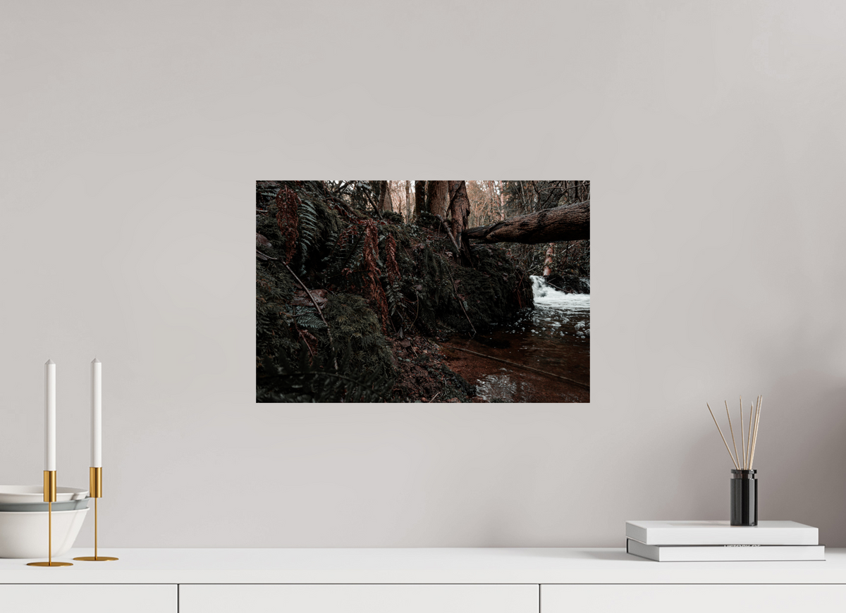 45 x 30 cm, Poster Fuji Crystal Pearl metallise La chute derrière la souche